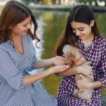 The Joy of Adopting a Rescue Pet: A Guide to Finding Your Perfect Companion